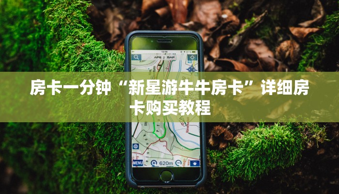 房卡一分钟“新星游牛牛房卡”详细房卡购买教程