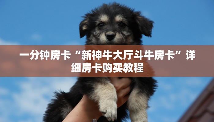 一分钟房卡“新神牛大厅斗牛房卡”详细房卡购买教程