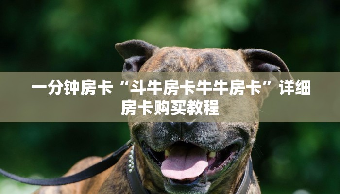 一分钟房卡“斗牛房卡牛牛房卡”详细房卡购买教程